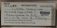 Image Associated With the Occurence